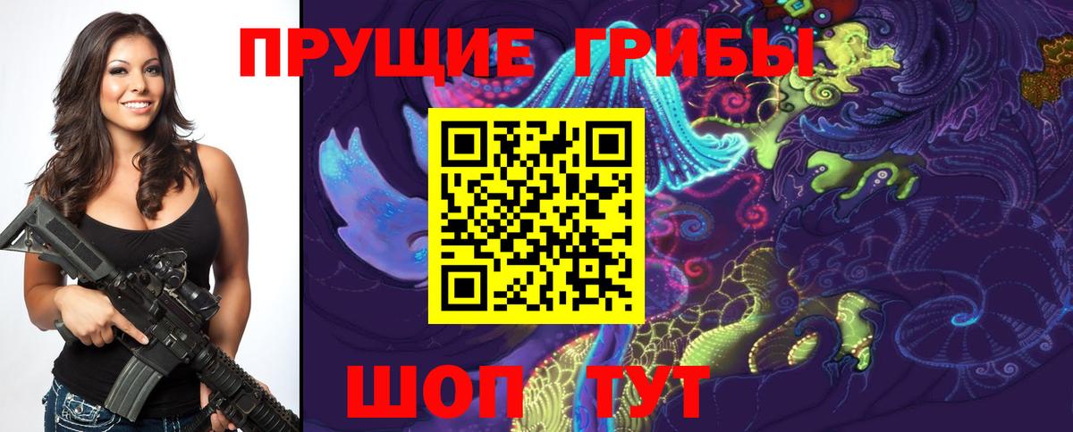 Галлюциногенные грибы мицелий  Галлюциногенные грибы Psilocybine cubensis  Заволжье  Вход с VPN 
